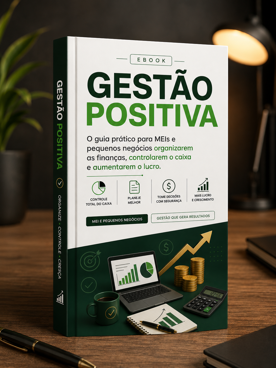 Capa real do ebook Gestão Positiva